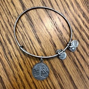 Alex and Ani Bangle